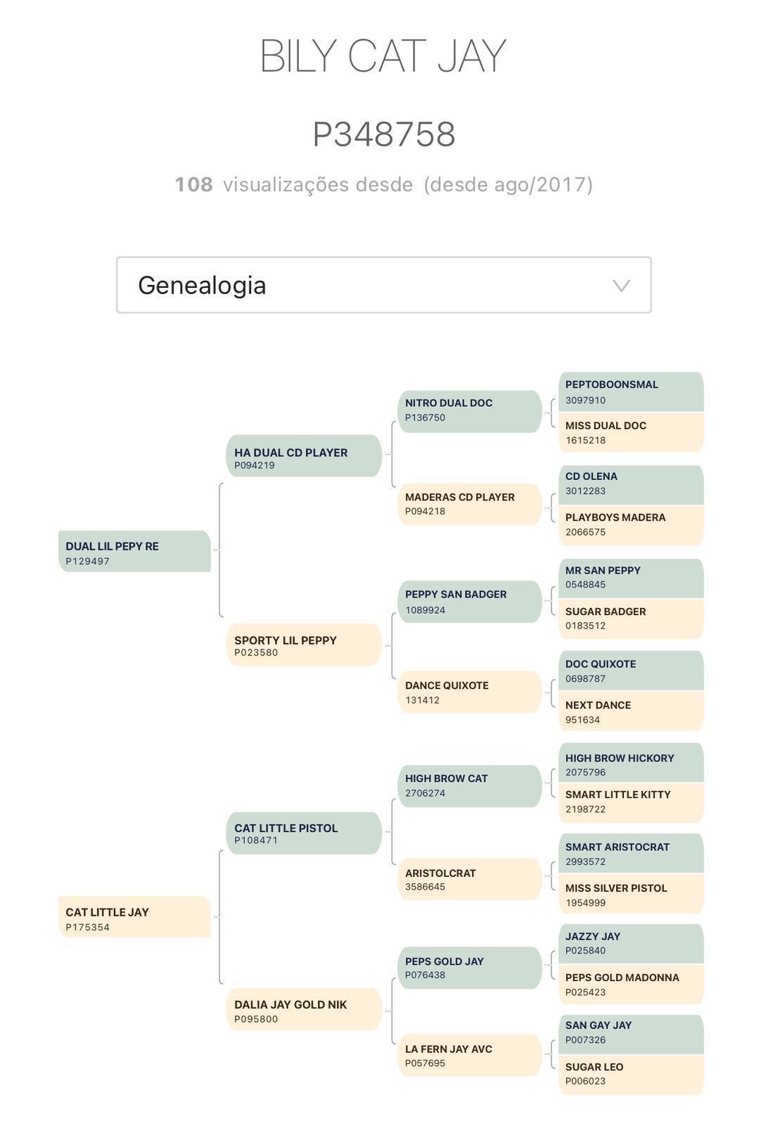 WhatsApp Image 2026-02-11 at 23.04.11