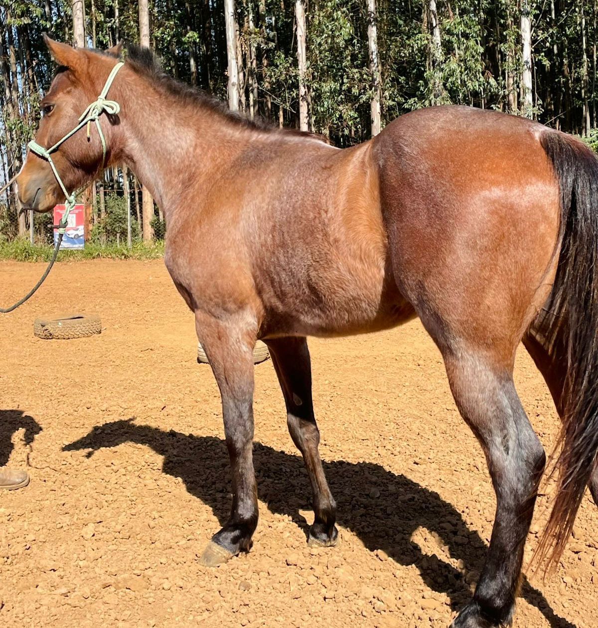 WhatsApp Image 2026-02-11 at 23.04.10