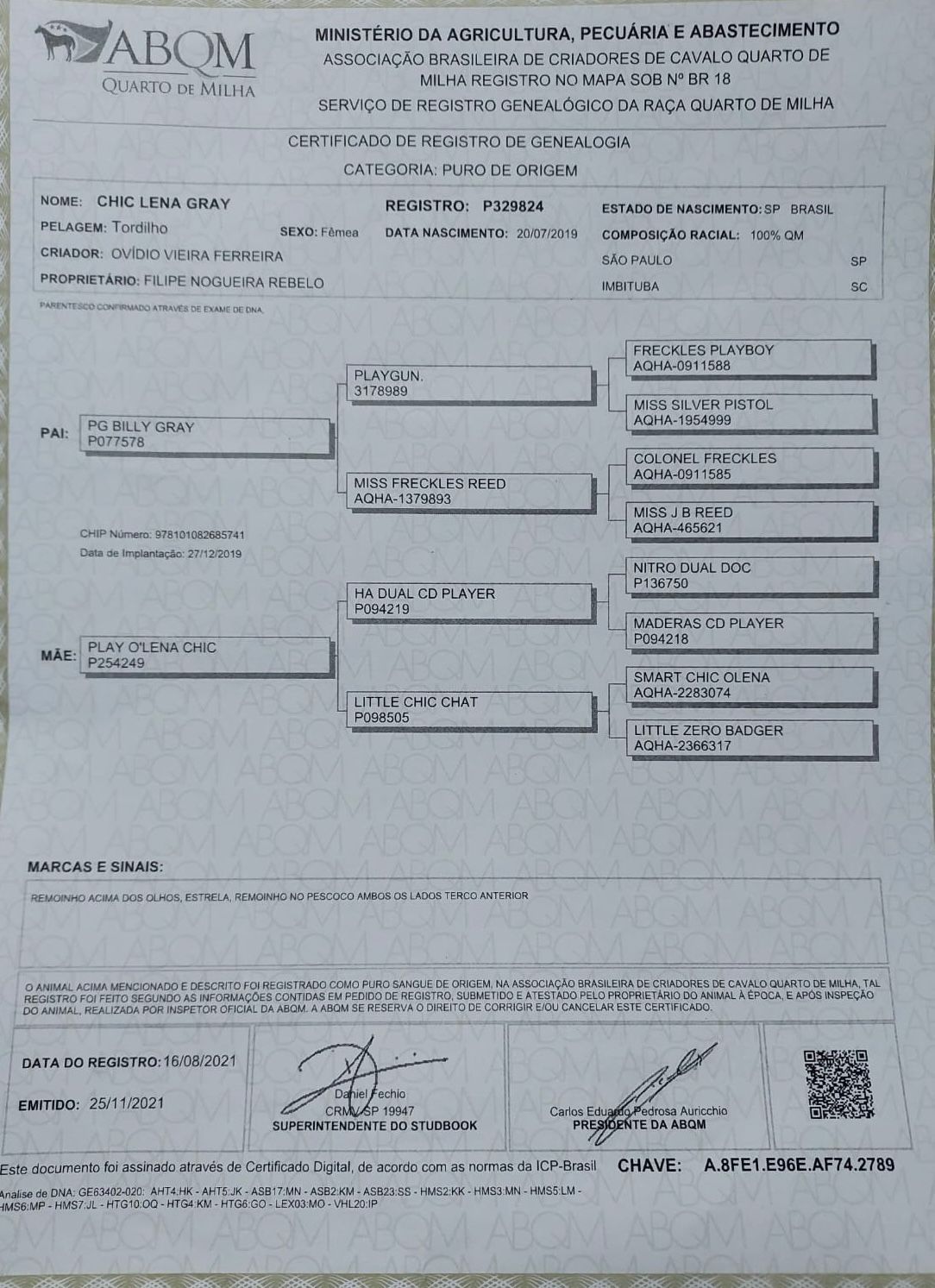 WhatsApp Image 2026-02-12 at 01.32.47 (3)