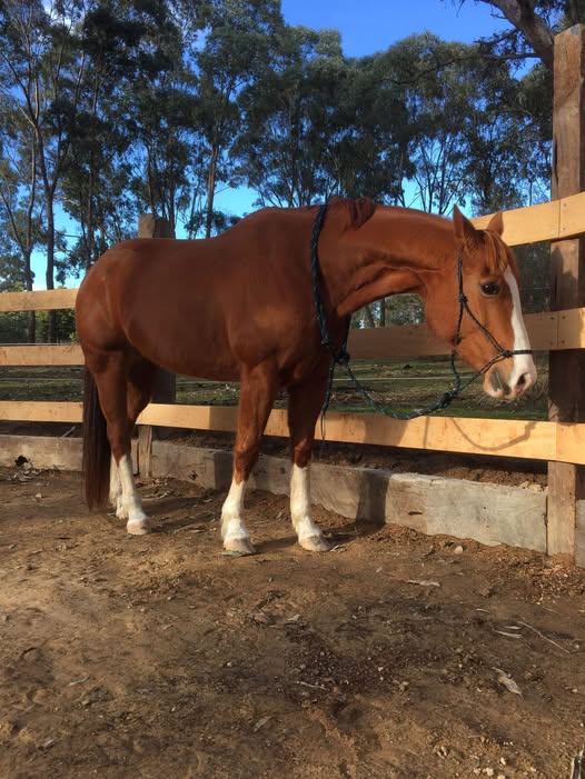 629480057_122162533592644116_3653226367008369547_n