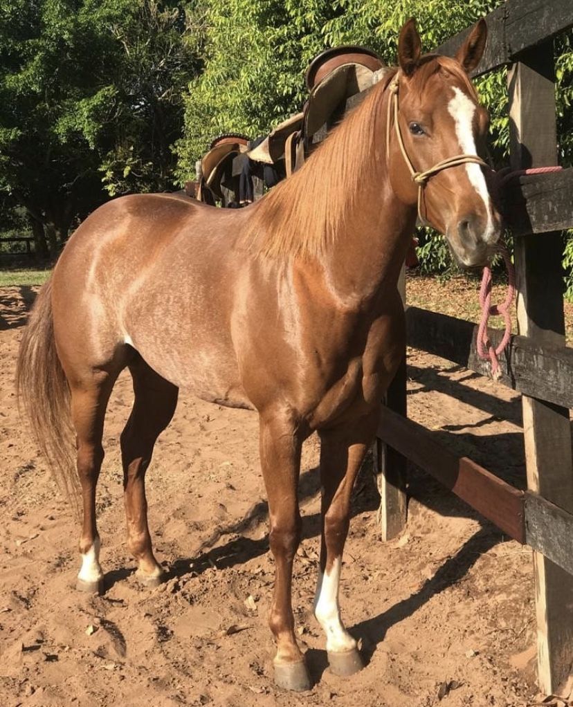 04367596860c83cc6721552973e1112b