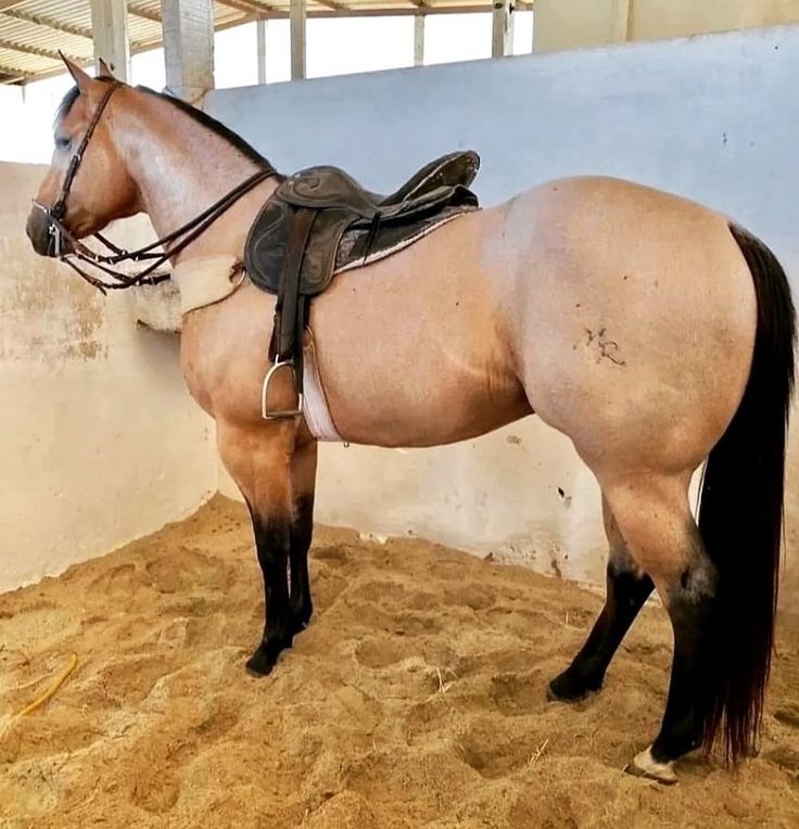 ce5c2dadcf5f676330620df512a8ce45