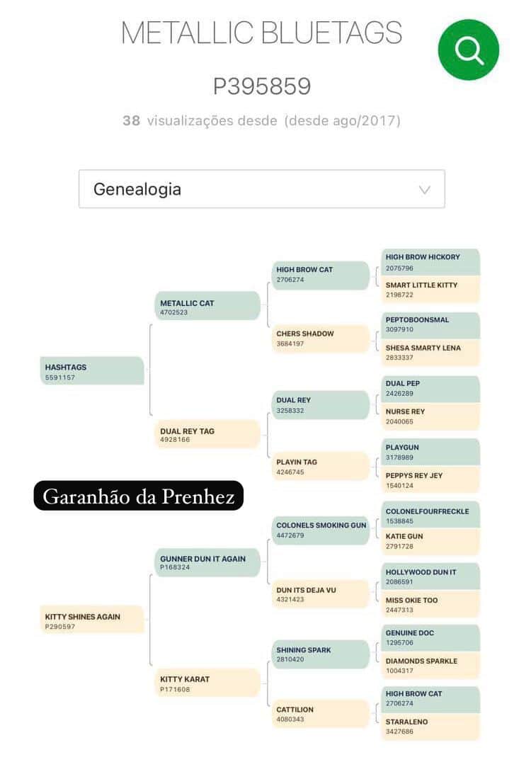 WhatsApp Image 2026-02-12 at 01.32.47 (2)