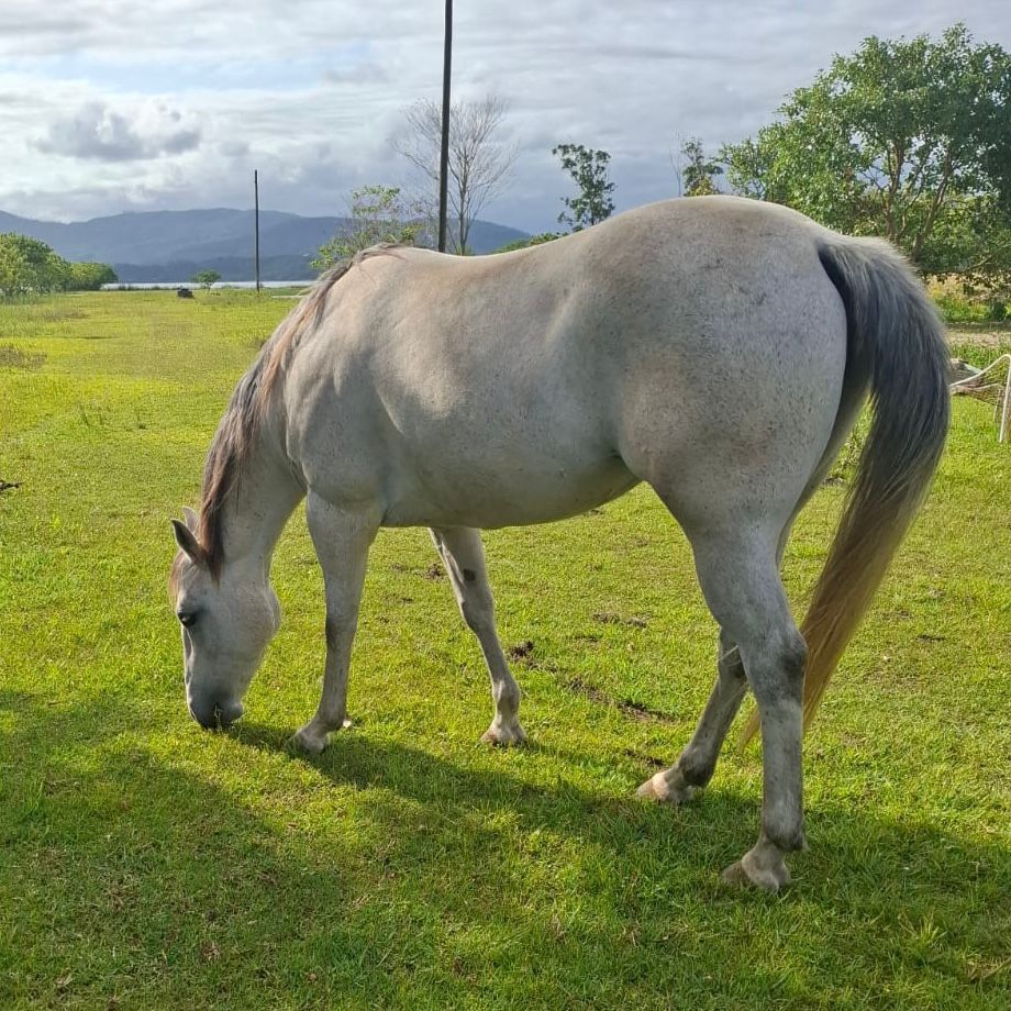 WhatsApp Image 2026-02-12 at 01.32.47 (1)