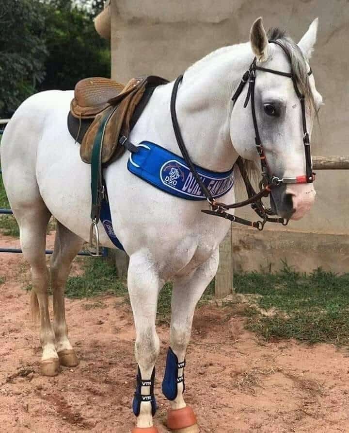 7221fec3a6272c6573fc80f41be7d318