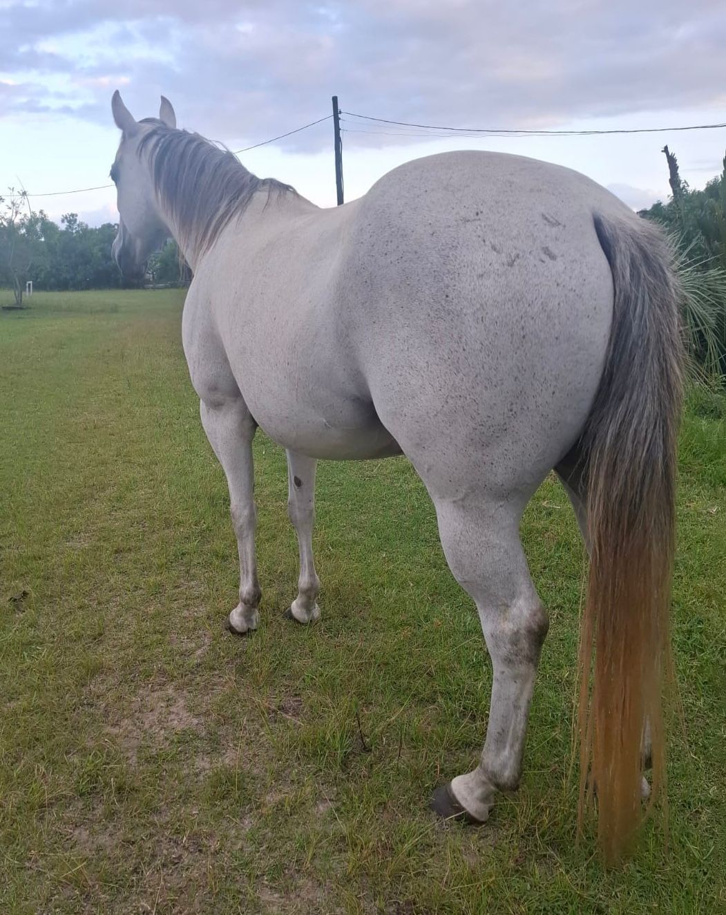 WhatsApp Image 2026-02-12 at 01.32.46