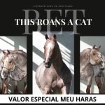 WhatsApp Image 2026-02-12 at 00.22.37 (2)