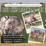 WhatsApp Image 2026-02-12 at 00.22.37 (3)