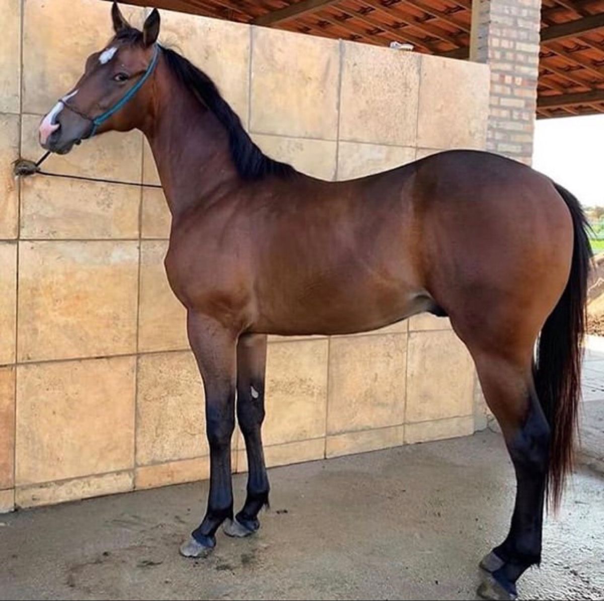 96fc4908e3764cf790f7ae863084e6a7