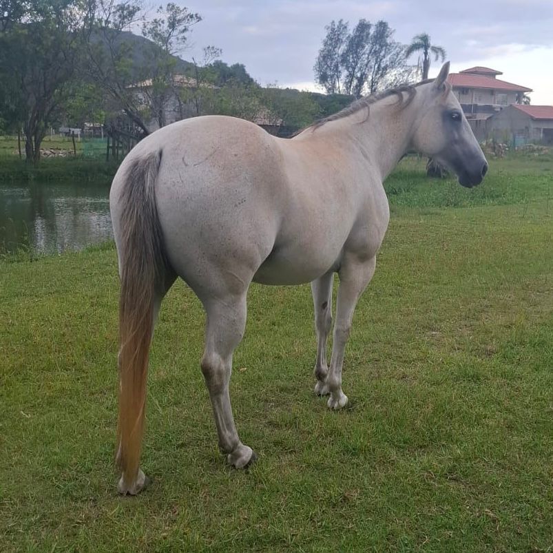 WhatsApp Image 2026-02-12 at 01.32.46