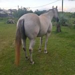 WhatsApp Image 2026-02-12 at 01.32.47