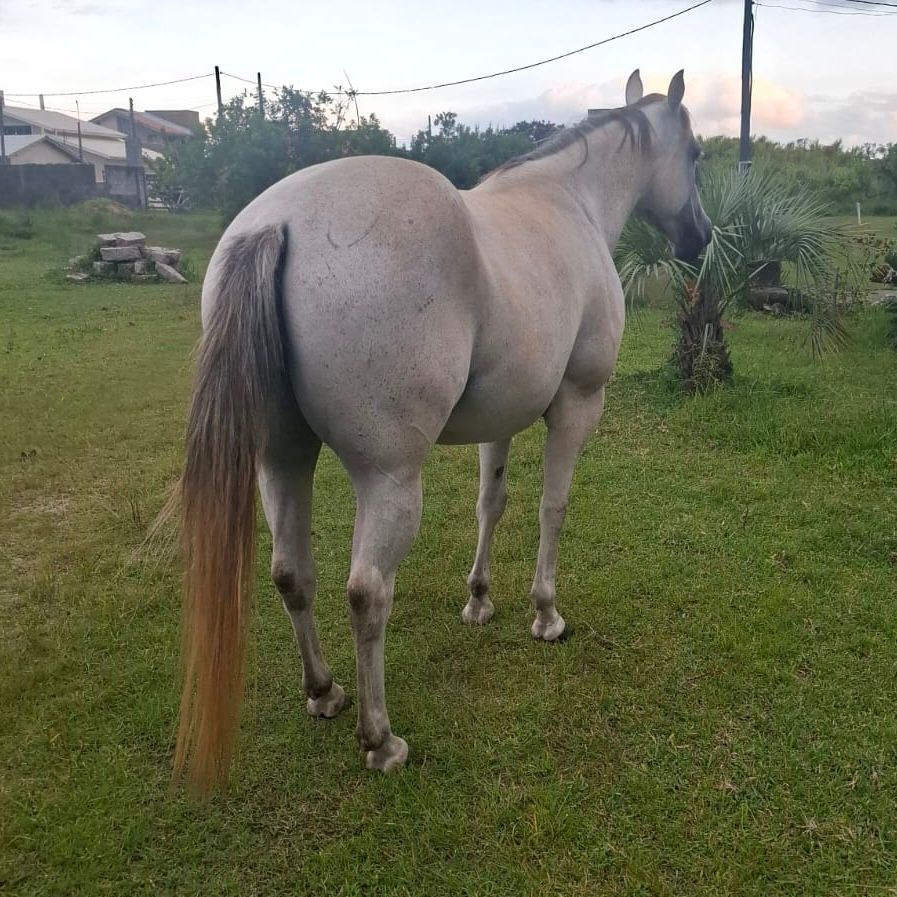 WhatsApp Image 2026-02-12 at 01.32.47